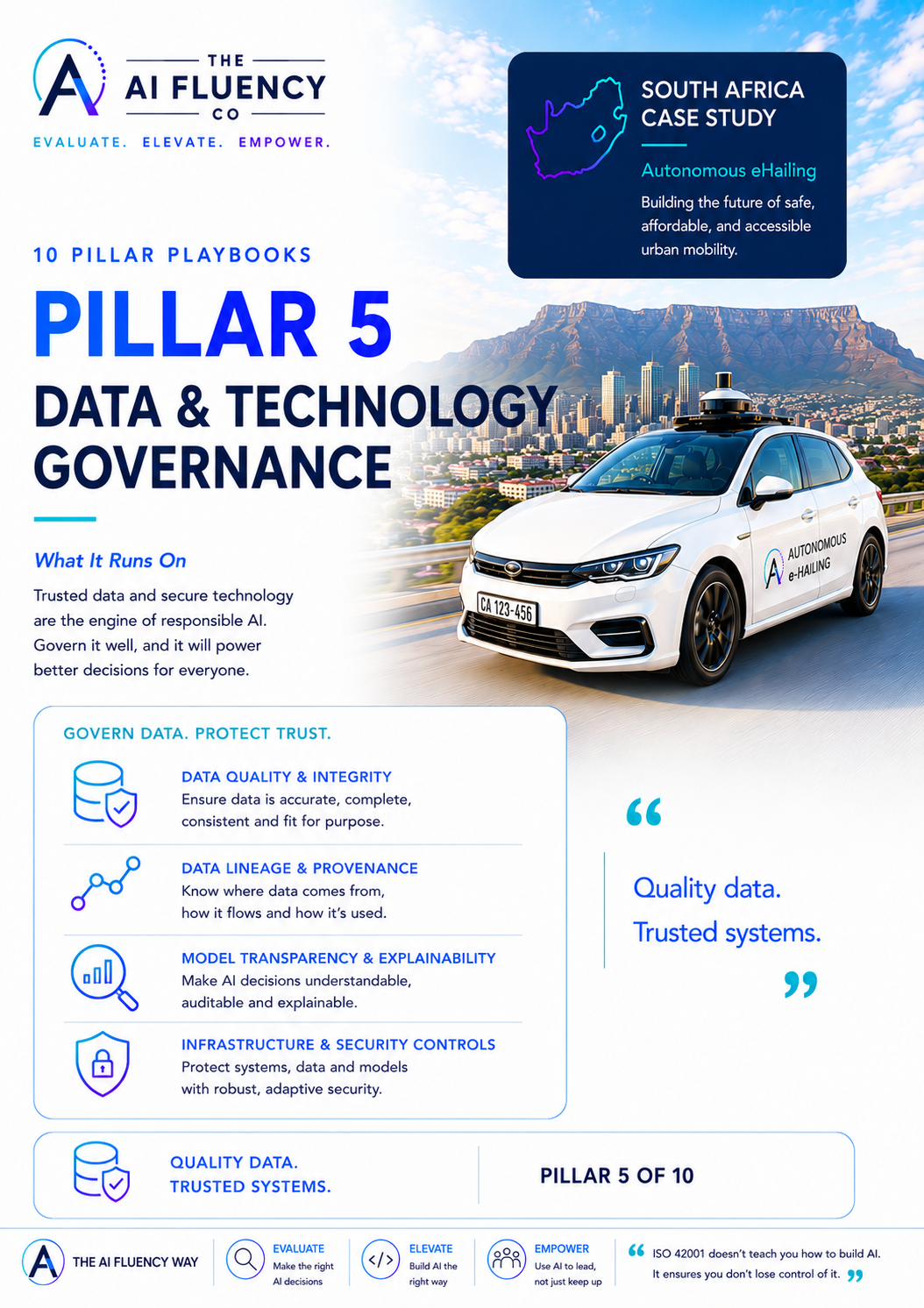 Pillar 5
